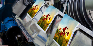 Packaging Printing Methods Explained: Offset vs Digital vs Flexo